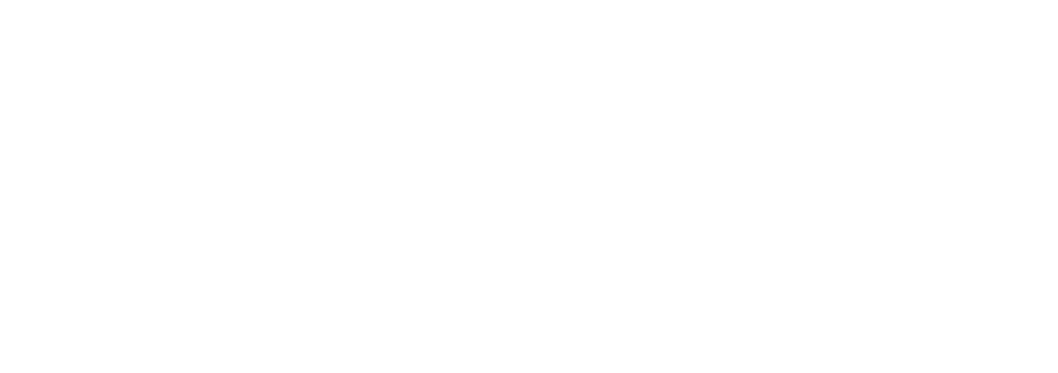 bleepo